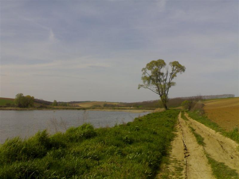 200704091656 .jpg